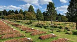 Royaume-Uni : le projet d’un immense cimetière musulman au cœur d’une controverse