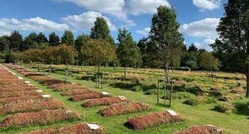 Royaume-Uni : le projet d’un immense cimetière musulman au cœur d’une controverse