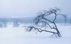 Vague de froid meurtrier aux Etats Unis