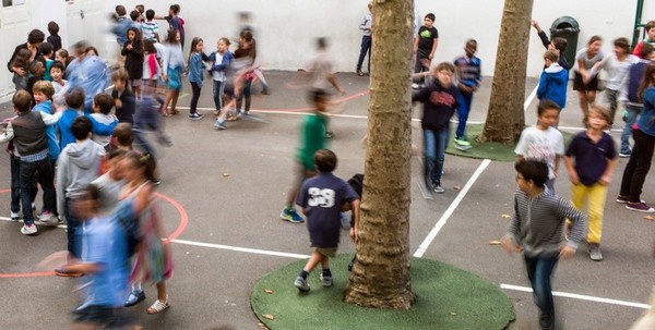 Laïcité à l'école : le Conseil des Sages, l'émergence d'une nouvelle juridiction ?