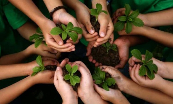 Contre la négligence face au défi climatique, un appel au jihad écologique