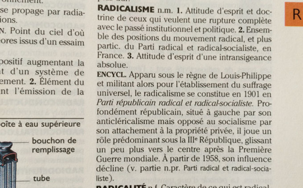 Radicalisme : il est nécessaire de changer de grille de lecture