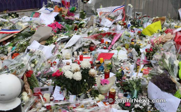 Attentats de Paris : voir au-delà de la violence